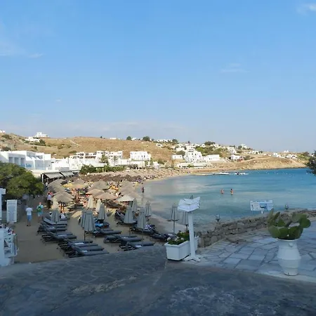 Flora Manos Platys Gialos (Mykonos)