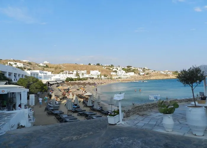 Flora Manos 普拉迪斯亚罗斯